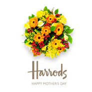 harrods-mothers-day-185-good