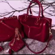 Rebecca Minkoff's Fall 2011 featured bags