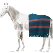 Hermès Rocabar horse blanket