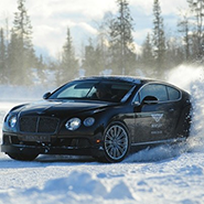 Bentley on Ice