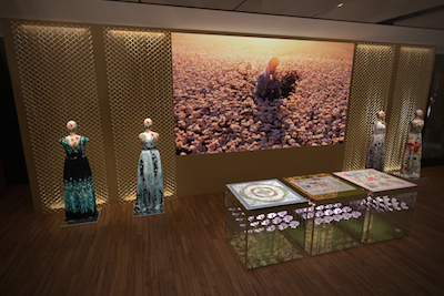 Flora_exhibit rendering