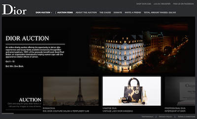 Dior Auction 2014 Web site