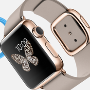 Apple's Apple Watch Edition 