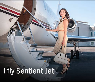 Sentient Jet promotional image