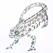 Missoni chameleon by Caitlyn Carlisle