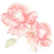 Image from Aerin Beauty's Rose de Grasse Web site