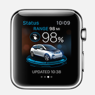 BMW's Apple Watch app 