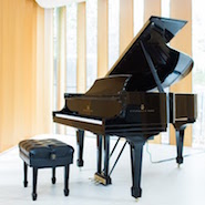 Steinway and Sons in the Integral House 