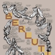Cover of "Berluti: At Their Feet"