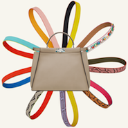 Fendi Strap You handbag accessory 