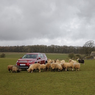 Land Rover Discovery Sport in UK countryside