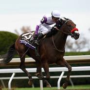 Nyquist at the Kentucky Derby