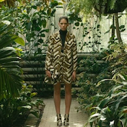 Video still from Longchamp's "Urban Nature"