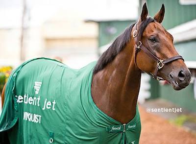 Nyquist Sentient Jet