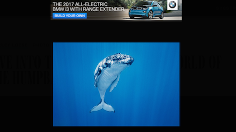 BMW ad on Wired's Photo site