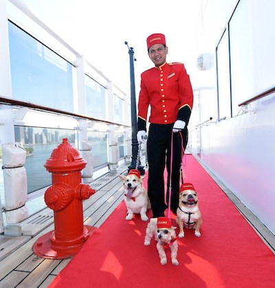 Kennel master Oliver Cruz walks Chloe, Ella Bean and Wally in the remastered kennels on the Queen Mary 2, the only passenger liner to carry pets, Wednesday, July 6, 2016, at Brooklyn Cruise Terminal in New York, its U.S. homeport. The Queen Mary 2 spent 25 days in dry dock and a refit that cost in the region of $132 million, renovating its staterooms, restaurants and public areas. (Diane Bondareff/AP Images for Cunard)