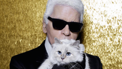Karl Lagerfeld with Choupette