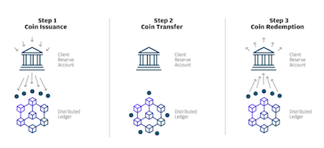 JPM Coins Process