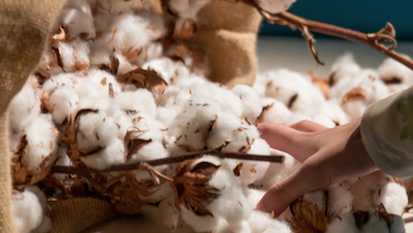 Tracing the source of organic cotton to the farm and through its journey across the supply chain will enhance Kering's sustainability credentials with end-consumers. Image credit: Kering