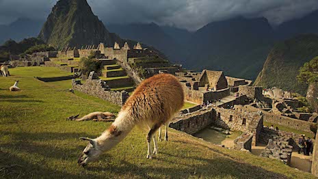 Peruvian Connection relies on Peru's alpaca wool and pima cotton for its line of apparel, accessories and assorted lifestyle products. Image courtesy of Peruvian Connection