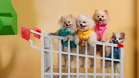 When it comes to animal accessories and clothing — not to be confused with the animal’s fancy additional extras — heritage houses must consider their value beyond the product. Image courtesy of Moncler x Poldo Dog Couture