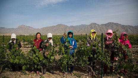 China’s wine sector did not quite live up to expectations. But today, with much of the mainland in lockdown, the way wine is consumed is being transformed. Image credit: Silver Heights