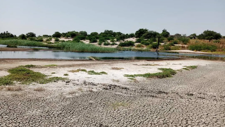 The parched Lake Chad in Africa. Image credit: Circular Bioeconomy Alliance