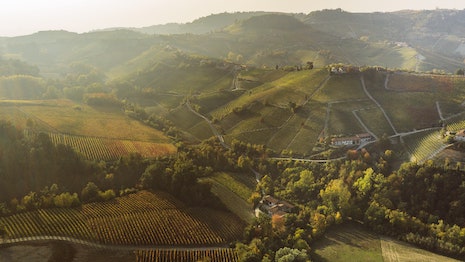 From the Piedmont region of Italy, to the Champagne vineyards of France, the November tours are a chance for travelers to take a deeper look at some of the richest food traditions in the world. Image courtesy of Bon Appétit