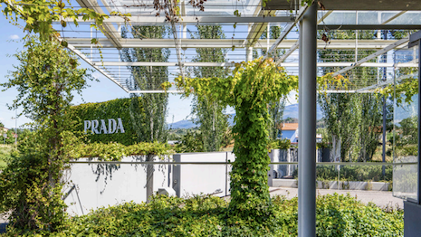 Retail net sales jumped 12 percent on a reported basis. Image credit: Prada Group
