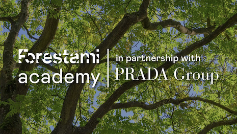 Organized by professor Maria Chiara Pastore, a researcher and professor at Milan's Polytechnic University, each of the Academy's modules will be led by forestry educators and experts from around the world. Image credit: ForestaMi