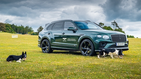 The automaker is sponsoring special activations at Goodwood estate's upcoming event weekend for humans and companion pups, staying true to the brand's longtime appreciation for dogs. Image credit: Bentley