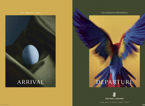 A range of nature-based changes are shown in the new campaign, like birds hatching from their eggs and taking flight. Image courtesy of The Ritz-Carlton