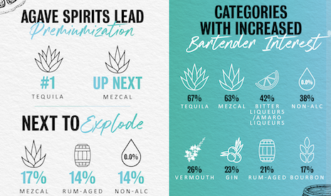 Tequila is leading in consumer and bartender interest. Image credit: The Future Laboratory