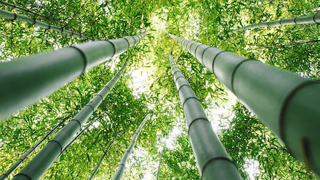 Many luxury brands are investing in more environmentally beneficial supply chains. Image credit: Bain & Company