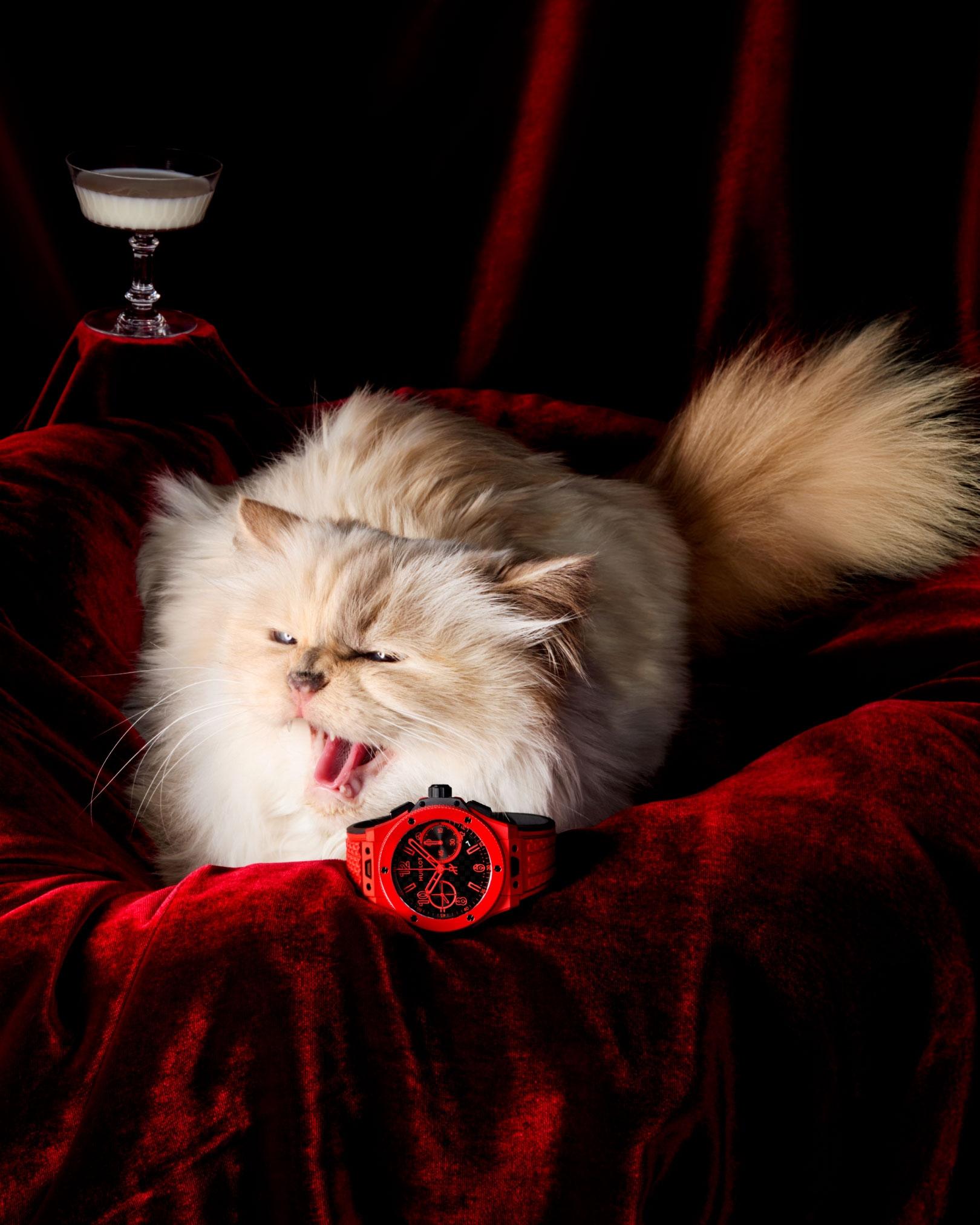 Dutch photographer Carlijn Jacobs captures internet-famous feline Choupette. Image credit: Hublot